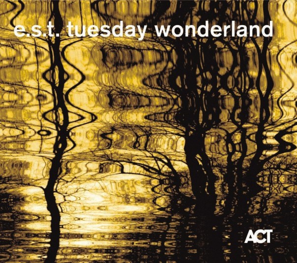 tuesday wonderland est