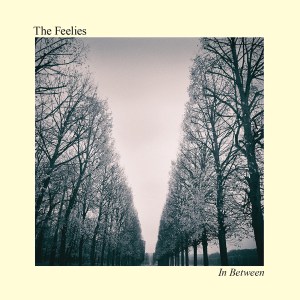 the-feelies-in-between