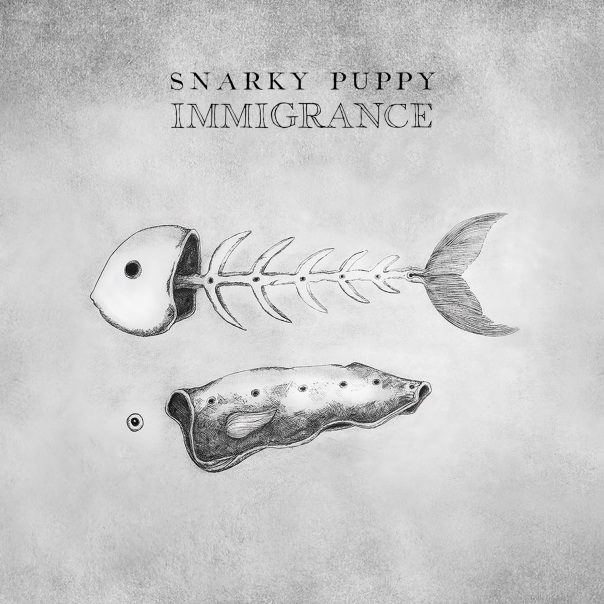 snarky puppy immigrance
